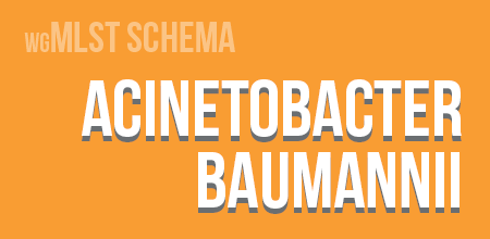 Acinetobacter baumannii wgMLST schema