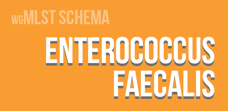 Enterococcus faecalis wgMLST schema
