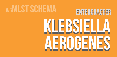 Klebsiella aerogenes wgMLST schema