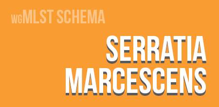 Serratia marcescens wgMLST schema